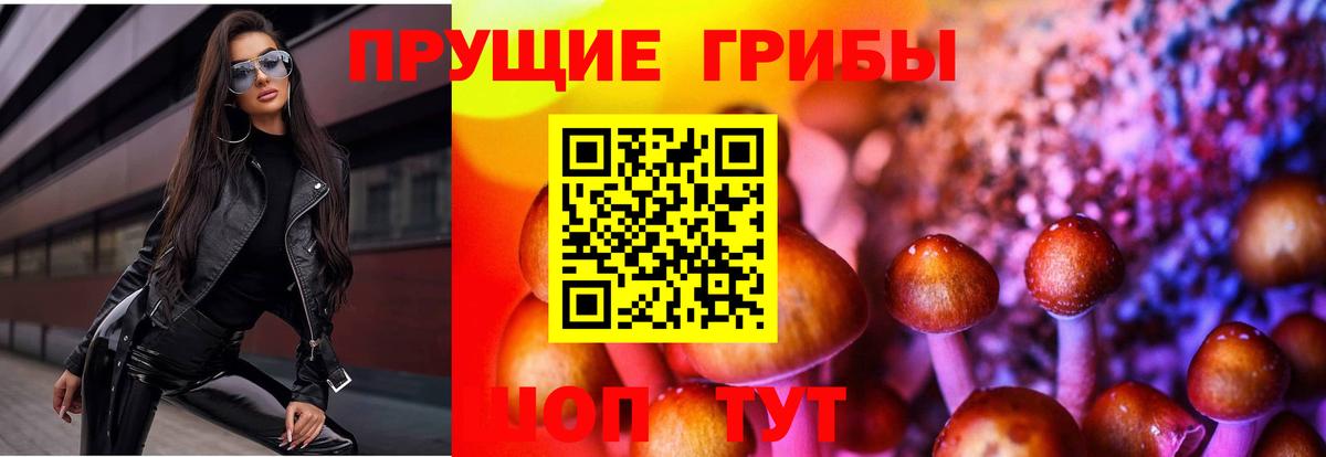 Псилоцибиновые грибы Psilocybine cubensis Бирск