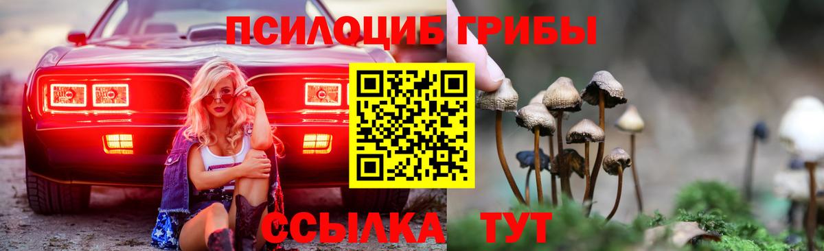 Бирск  Псилоцибиновые грибы MAGIC MUSHROOMS  Галлюциногенные грибы ЛСД  Вход с VPN 